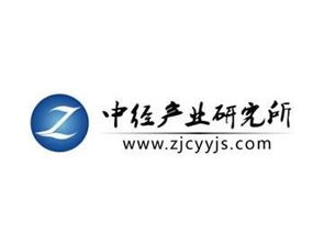 中國網(wǎng)絡(luò)安全市場運營形勢及前景發(fā)展規(guī)劃分析報告（2018-2020） 聚焦網(wǎng)絡(luò)與信息安全軟件開發(fā)