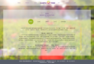 卡波樹童裝 品質(zhì)與創(chuàng)新并舉，助力外貿(mào)銷售新高度