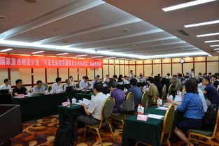 引領未來 中國科學院半導體研究所信息技術研發的探索與突破